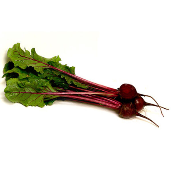 Beetroot 'Bulls Blood' - Image 2