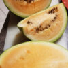 Watermelon 'Champagne' - Image 2